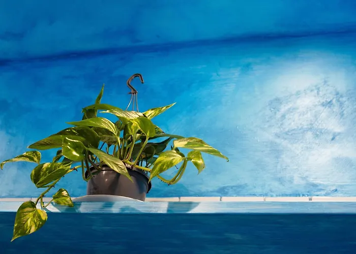 Διαμέρισμα Da Umberto Varazze