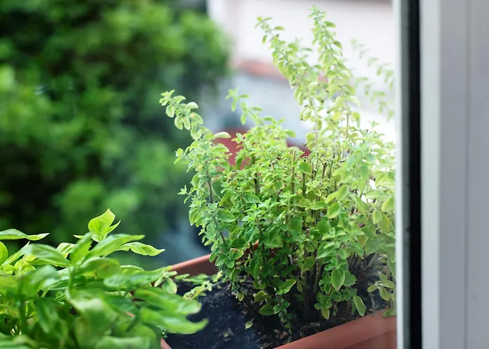 Апартаменты Da Umberto *