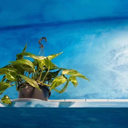 아파트 Da Umberto 바라체